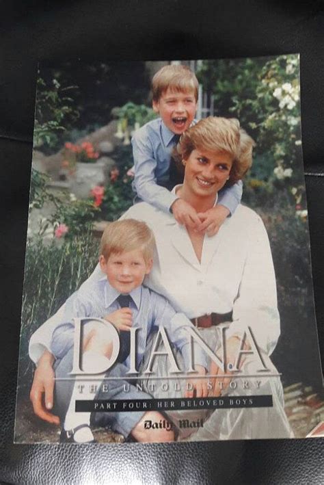 Diana The Untold Story Part 4 Her Beloved Boys Daily Mail Newspaper