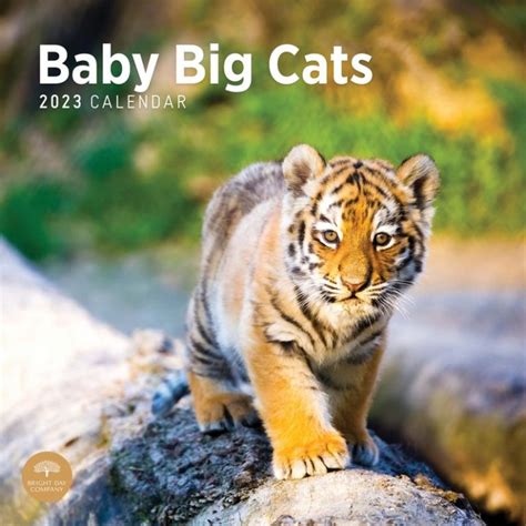 Wild Cat Calendars ~ Big Cat Calendars ~ Tigers ~ Lions ~ 2024