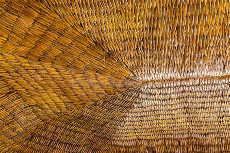 Safari park waterproof thatched covering supplier. Thatched Ceiling Of A Restaurant As Seen In Jamaica Stock ...