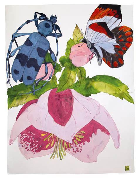 Sarah Graham Selected Works Botanical Artwork Botanical Painting