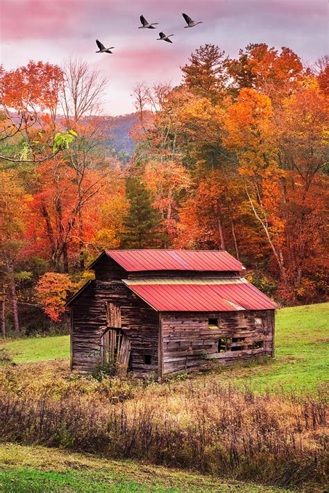 Blue Ridge Smoky Mountain Barn Photograph By Debra And Dave Vanderlaan