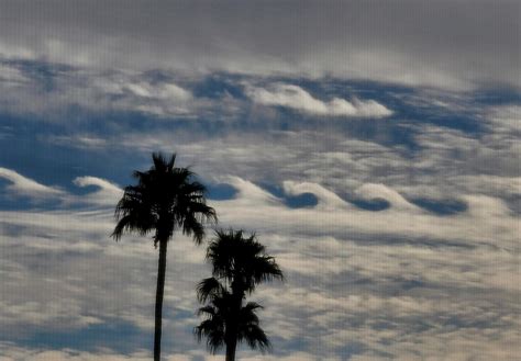 These Clouds Yesterday Looked Like Little Waves Rmildlyinteresting