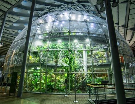 California Academy Of Sciences Tower Tours