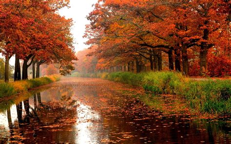 Autumn Rain Autumn Landscape Autumn Rain Autumn Forest