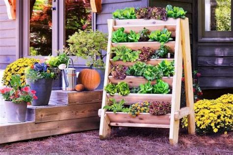 vegetables to grow in your garden this fall oberer homes