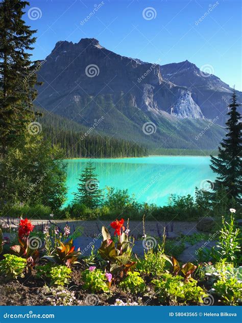 Lac Vert Stationnement National De Yoho Canada Image Stock Image Du