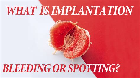 Implantation Bleeding Spotting Maternity Photos