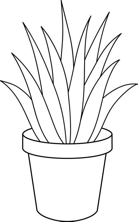 How To Draw A House Plant