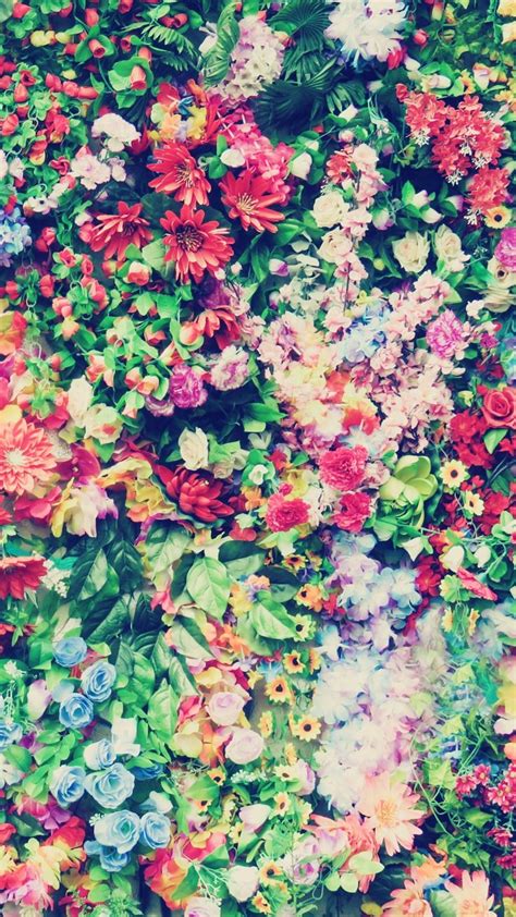 Real Floral Iphone Wallpapers On Wallpaperdog