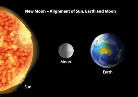 Alineación De La Tierra La Luna Y El Sol Vector Gratis