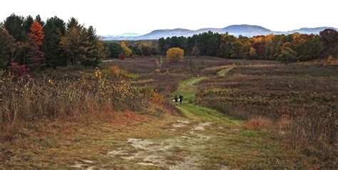 Saratoga Woods And Waterways An Autumn Walk At Saratoga Battlefield