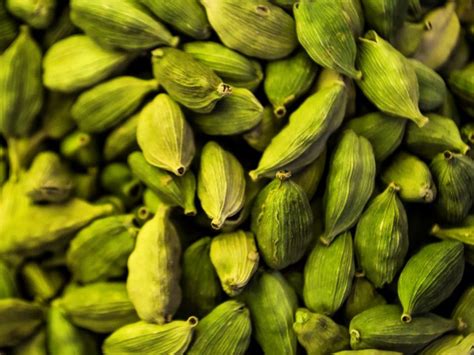 Cardamom Processing In Nepal To Begin From November Ceo Tab
