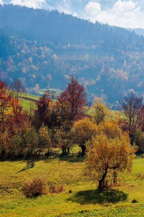 Countryside Autumn Scene In Mountains Stock Photo Image Of Bright