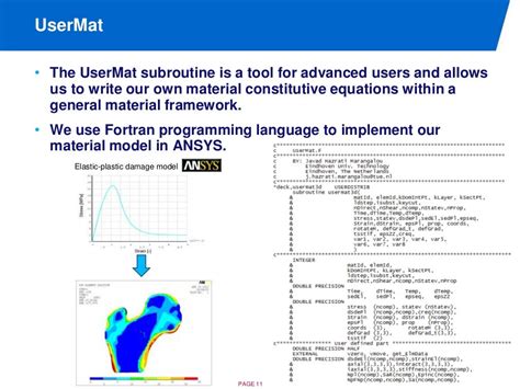 Ansys Usermat For Prediction Of Bone Failure