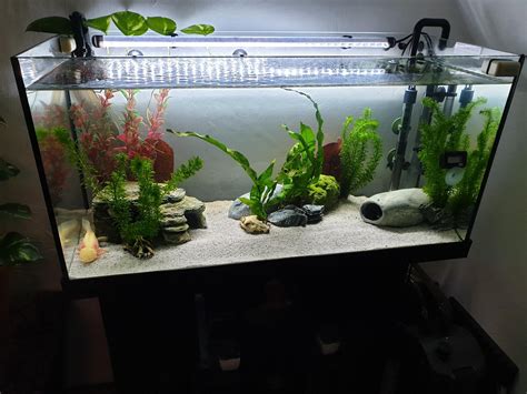 Step By Step Guide For Setting Up Of A 60 Gallon Aquarium Fishxperts