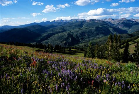 Telluride - Operation Altitude