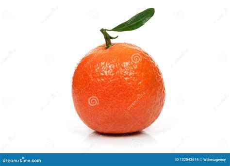 Fresh Single Orange Fruit Stock Photo Image Of Natural 132542614