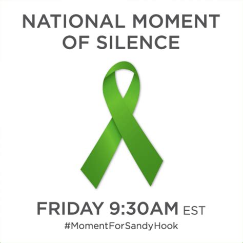 Websites To Go Dark Friday Honoring Victims Of Sandy Hook Elementary School Shooting Ibtimes