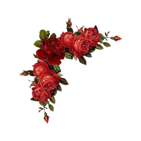 Red Roses Border Png Hd Png Mart