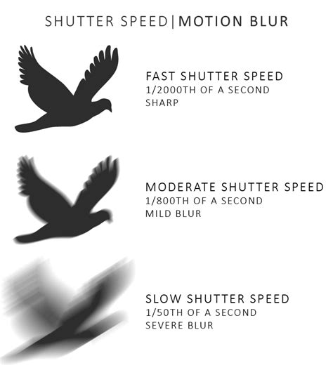 What Is A Fast Shutter Speed And Why You Need Them Silent Peak Photo