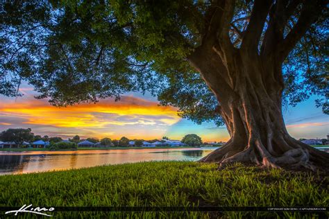 Palm Beach Gardens Sunset By The Lake Hdr Photography By Captain Kimo