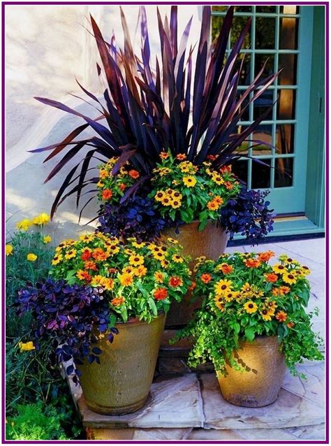 26 Stunning And Beautiful Flowers For Outdoor Pots Ideas 2019 Fall