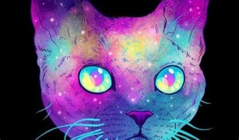 Cute Cat Wallpapers App Ranking And Store Data App Cute