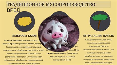 Мясо из пробирки – экологичное будущее - презентация онлайн
