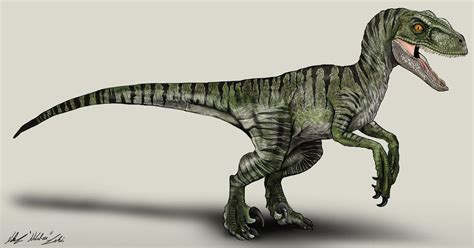 Jurassic World Velociraptor Charlie By Nikorex Jurassic World