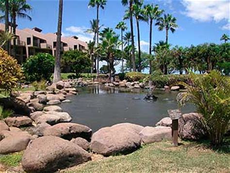 Kamaole Sands Kihei Maui Vacation Rental Condos Near Wailea