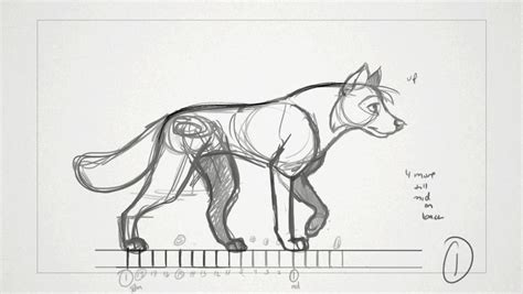 Wolfcanine Walk Cycle Dog Animation Wolf Sketch Wolf Poses
