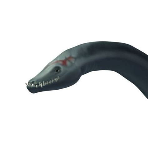 Megafin Elasmo Roblox Dinosaur Simulator Elasmosaurus Af3