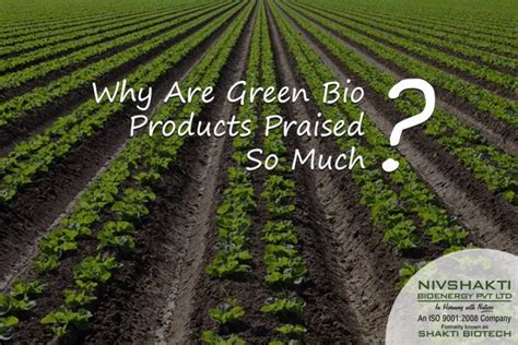Nivshakti Bioenergy Pvt Ltd Why Are Green Bio Products Praised So Much