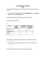 How do they work together in the translation and transcription of dna? TRANSCRIPTION and TRANSLATION WORKSHEET1 WITH KEY ...