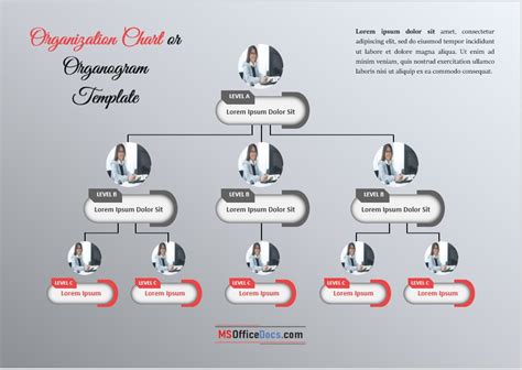 Free Organization Charts Or Organogram Templates Ms Office Documents