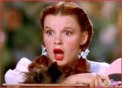 Dorothy And Toto From The Wizard Of Oz Movie The Wizard Of Oz Photo