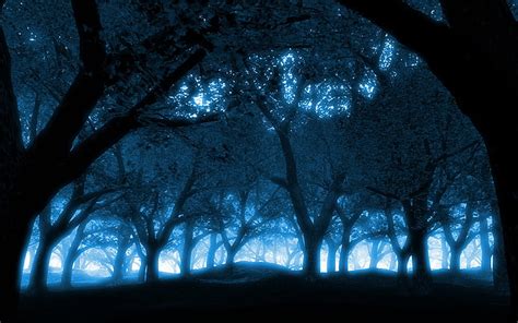 Free Download Hd Wallpaper Black Blue Blue Forest Nature Forests Hd