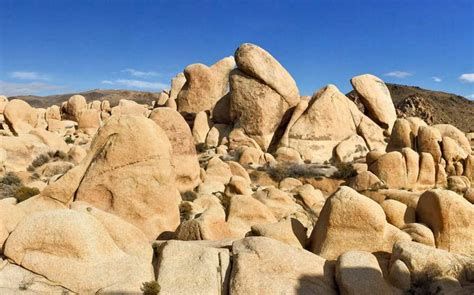Joshua Tree National Park Day Trip Things To Do Attractions