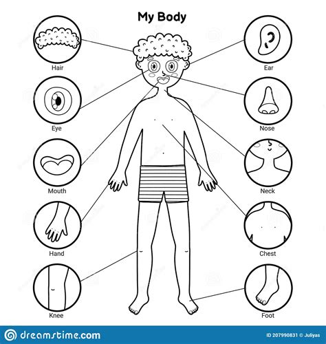 My Body Parts Black And White Educational Poster With A Boy Learning