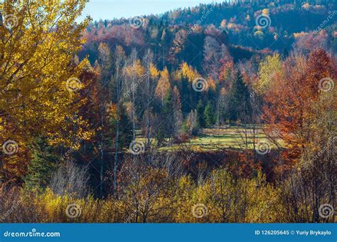 Autumn Carpathians Ukraine Stock Image Image Of Nature Scene 126205645