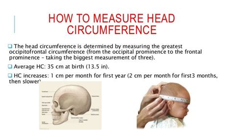 pediatric growth head circumference