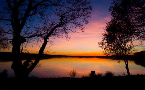 Picturespool Sunset Behind Trees Nature Wallpapersphotos