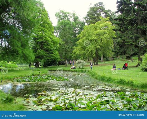 The National Botanic Gardens Of Dublin Editorial Stock Photo Image Of