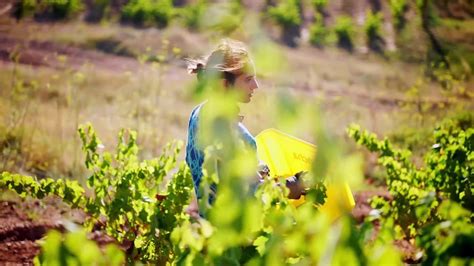 Rioja, Land of the Thousand Wines | movie | 2023 | Official Trailer