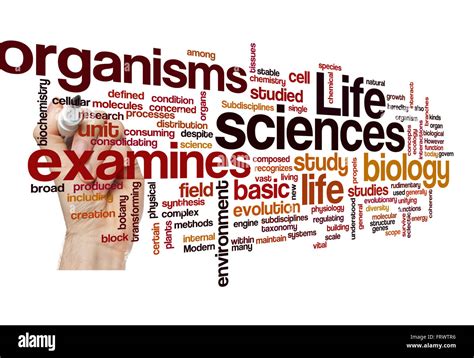 Life Sciences Biology Concept Background On White Stock Photo Alamy