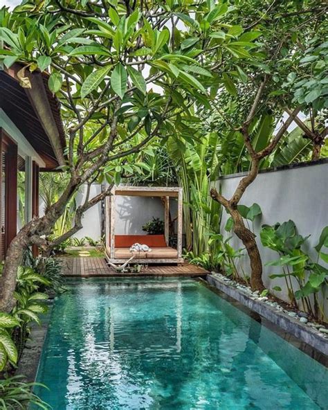 25 Tropical Pool Landscaping Ideas Like A Vacation