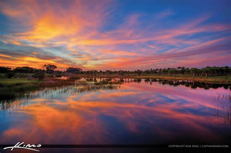 Royal Palm Beach Lake Reflection Sky Color Lake Sunset Sunset
