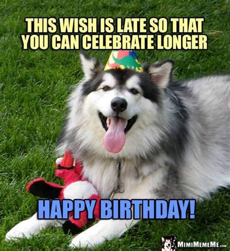 100 Funniest Happy Birthday Dog Memes Guaranteed To Lol 🤣