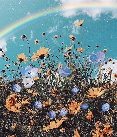 Spring Days 🌼 Odwyersio9 Flower Aesthetic Flowers Photography