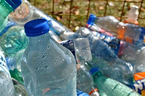 Researchers Discover An Easy Way To Get People To Recycle Carroll